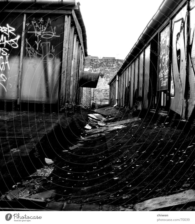 roof top schwarz weiß Haus Dach Fluchtpunkt Mauer Leipzig Plagwitz Himmel Graffiti Glas Fensterscheibe alt Rost ranzig Industriefotografie writing dreckig