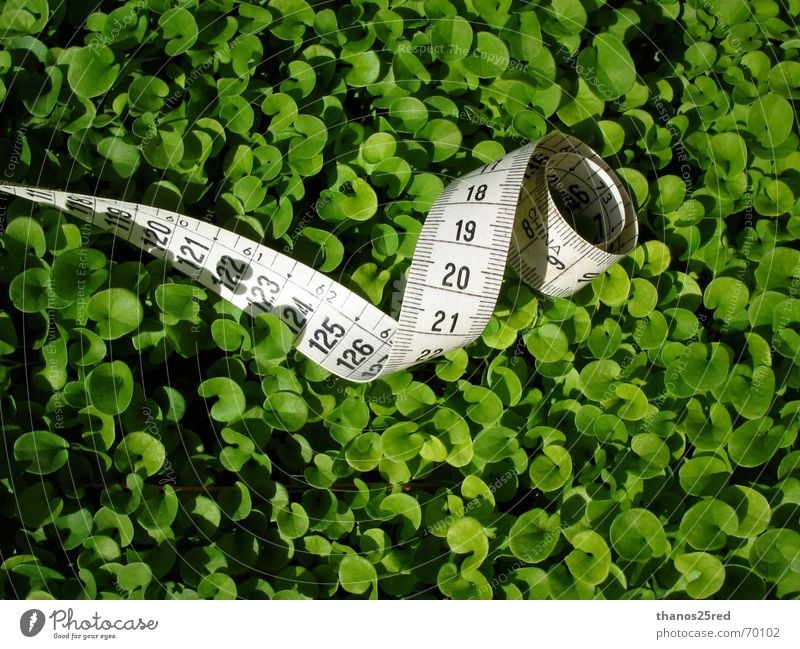 green measuring... clever Natur Trifili measure grass mezoura xorto