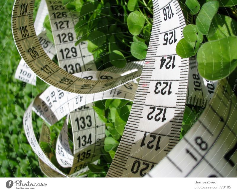 measuring nature clever Natur Trifili measure grass mezoura xorto