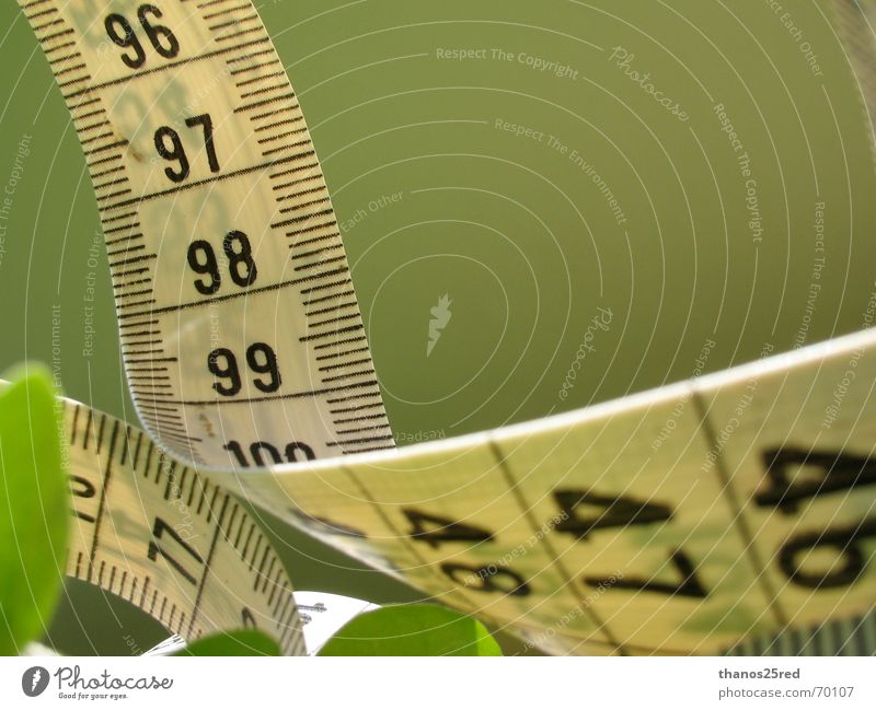measuring... clever Natur Trifili measure grass mezoura xorto