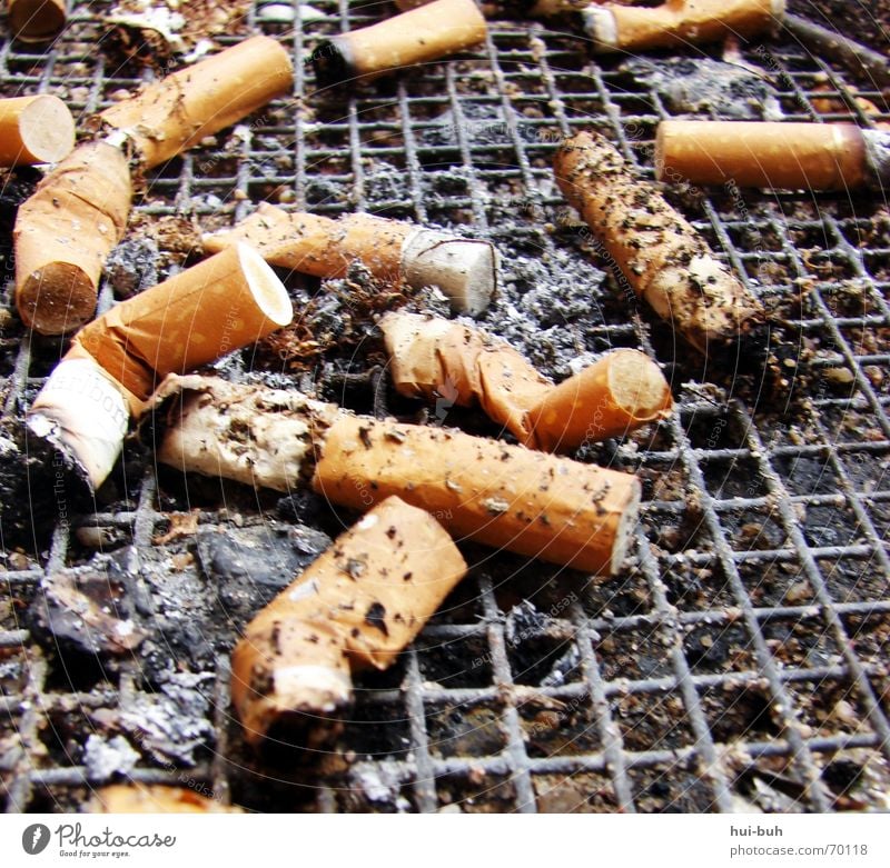 Rauchen kann tödlich sein Zigarette Teer Gitter Tabak Zigarettenmarke Ende Zigarettenstummel Filterzigarette Zigarettenasche Aschenbecher Rest Makroaufnahme