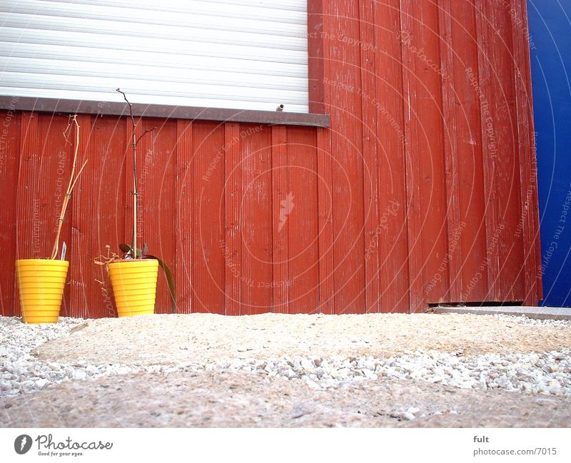 Blumentöpfe Blumentopf Holz Fassade rot Häusliches Leben Tür gleb blau