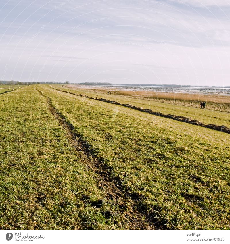 Deichspaziergang wandern Mensch Natur Landschaft Gras Wiese Hügel Nordsee Ostsee beobachten Erholung gehen Ferne Unendlichkeit Gelassenheit ruhig Zufriedenheit