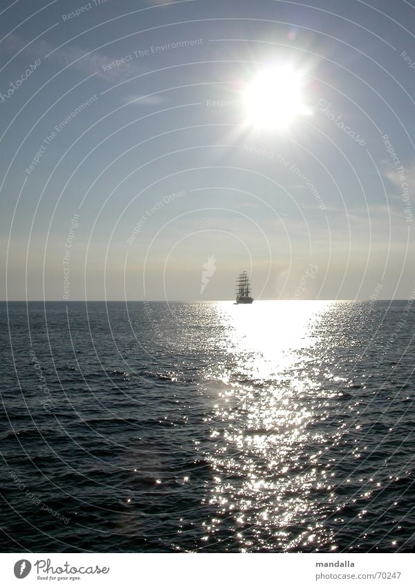 wohin Segeln Wasserfahrzeug Segelboot Meer Horizont Sommer Abendsonne Licht Ferne Fernweh ruhig Kroatien Wellen Unendlichkeit träumen Sehnsucht harmonisch