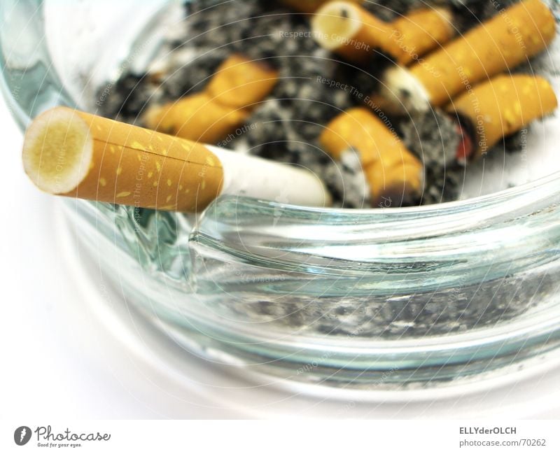Raucher sterben früher [1] Zigarette Rauchen Aschenbecher Teer ungesund Nikotin Glas Geruch Übelriechend Zigarettenstummel Nichtraucherschutz Zigarettenasche