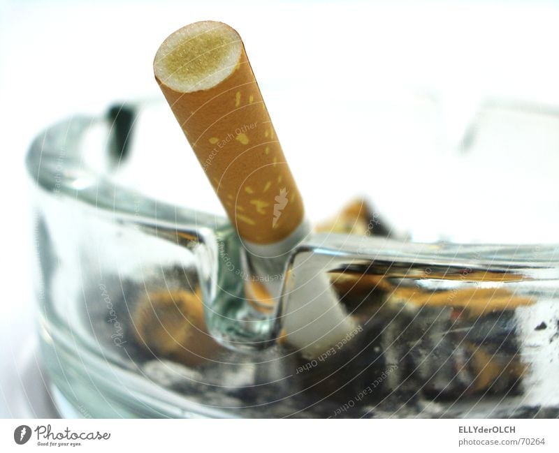 Raucher sterben früher [2] Zigarette Rauchen Aschenbecher Teer ungesund Nikotin Glas Geruch Übelriechend Zigarettenstummel Filterzigarette gesundheitsschädlich