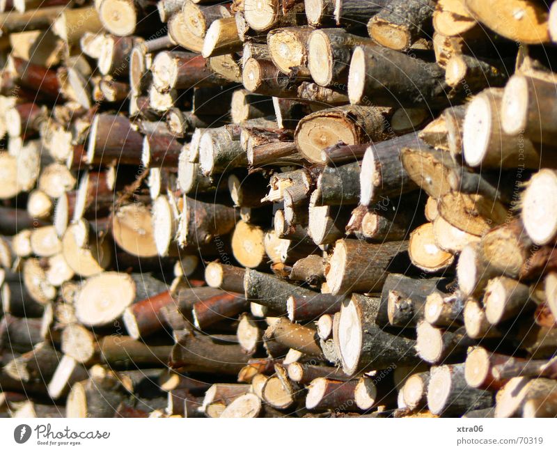 Holz vor der Hüttn Brennholz Stapel braun Holzstapel Baum Baumstamm Haufen ländlich Stufenordnung Nutzholz stapeln baumast schärfe-unschärfe Ast mehrere Zweig