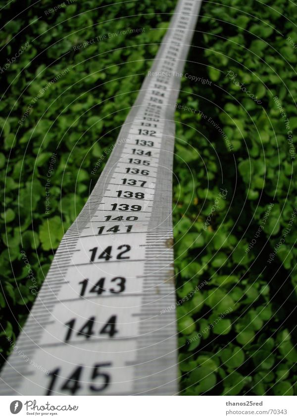 measuring nature measure grass lucky unlucky numbers line