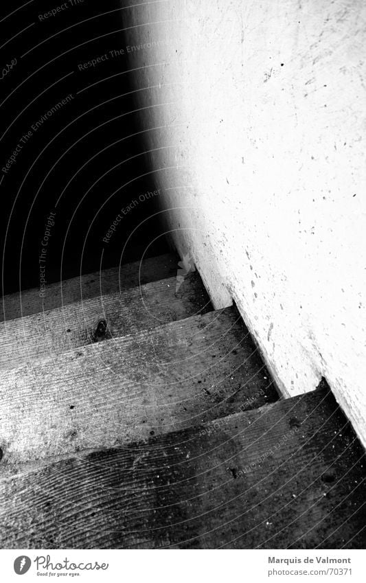 Von dort unten werden sie kommen... Fußtritt dreckig Holz Wand Putz Kalk weiß schwarz Keller steil Blick nach unten dunkel Licht geheimnisvoll unheimlich