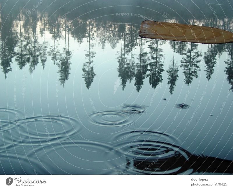 Wasserspiegelkreise ruhig Wassertropfen Baum Küste See sanft Finnland Paddel Wasserkreise Reflexion & Spiegelung Im Wasser treiben Wasseroberfläche