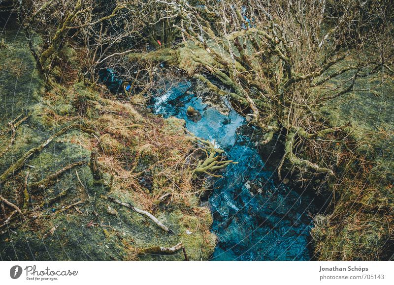 Isle of Skye IV Umwelt Natur Landschaft Pflanze Moos Wald Urwald ästhetisch bizarr Surrealismus blau grün Bach Wasser Schottland Highlands Kontrast