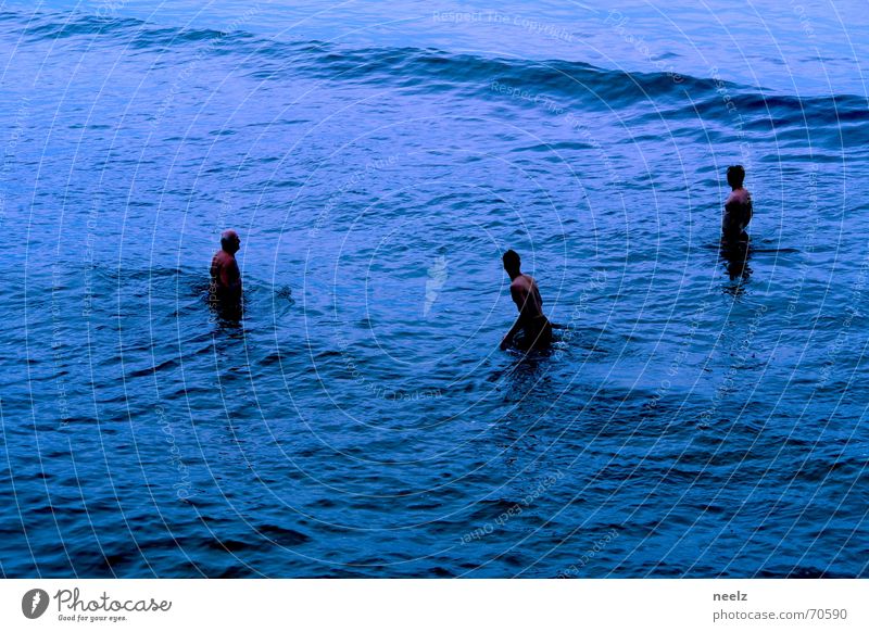 frutti di mare Meer Mann kalt Wellen Schwimmen & Baden Ostsee Wasser blau stehen