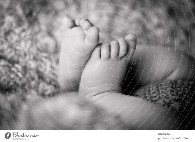 7 Tage alt maskulin Kind Baby Haut Beine Fuß Zehen Zehennagel 1 Mensch 0-12 Monate Windelstrickhose "Wolldecke Kuscheldecke" berühren Bewegung Küssen Liebe