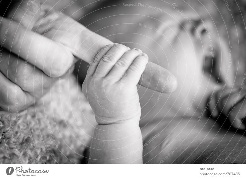 hold on to ... Kind Baby Junge Mutter Erwachsene Mund Hand Finger Zeigefinger 2 Mensch 0-12 Monate berühren festhalten Glück niedlich schwarz weiß Gefühle