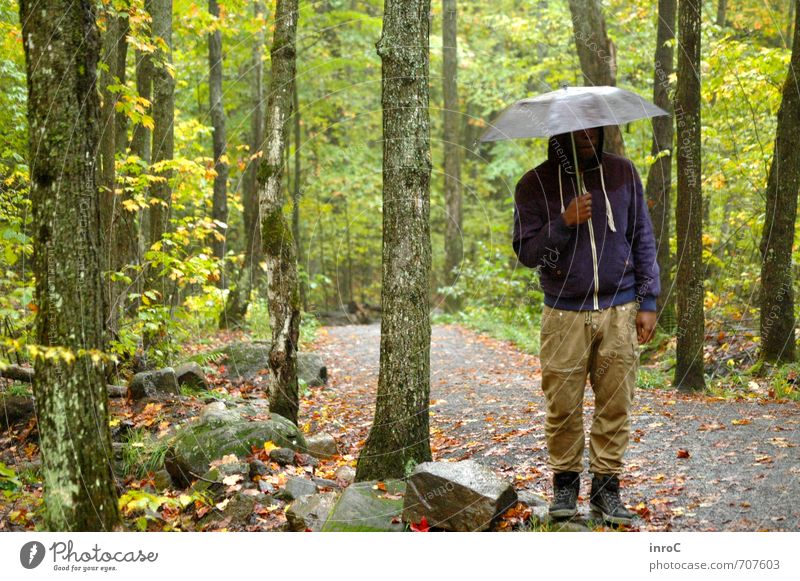 The Backwoods of Canada ruhig Ausflug Freiheit wandern Algonquin PP Mensch maskulin Junger Mann Jugendliche Leben 1 18-30 Jahre Erwachsene Umwelt Natur