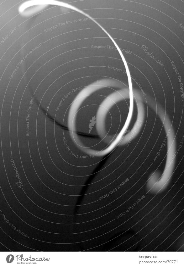 bewegung Locken Spirale Streifen Spiegel Licht Schwarzweißfoto abstract Kontrast weisse linie Linie Feder reflection verführerisch