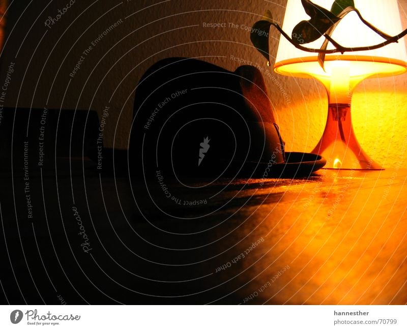 ein alter Hut Lampe Pflanze Ranke Tisch Holz Herrenhut retro Licht Physik gemütlich Wohnung dunkel Wärme Kabel Schatten ikealampe schwedisches möbelhaus und so