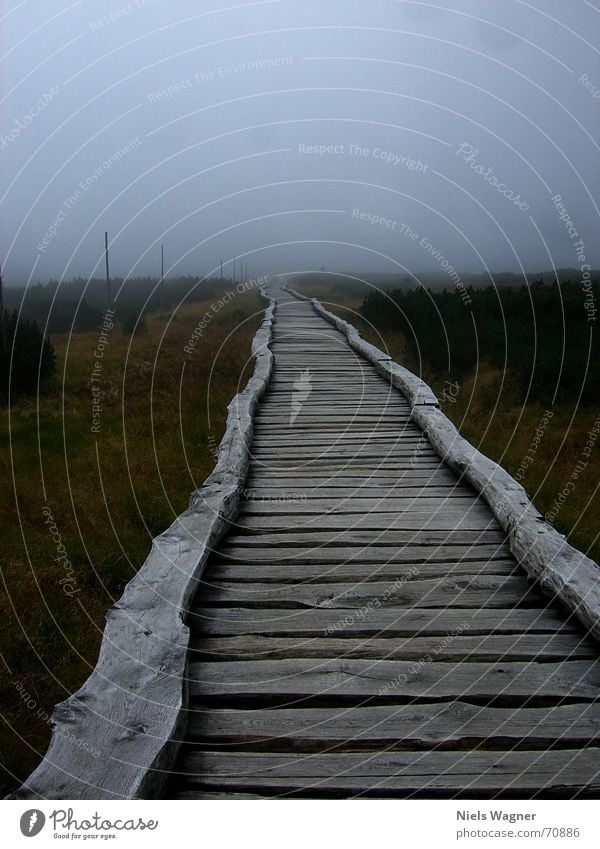 Aus der Ferne komm ich her Nebel Holz grün Tschechien Steg Sumpf Sträucher Brücke Himmel
