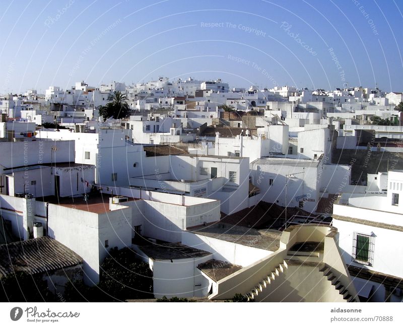 Dachterrassen Cadiz Haus Stadt Spanien Physik Sommer weiß Fassade Fenster Wärme landstypisch Treppe Himmel blau