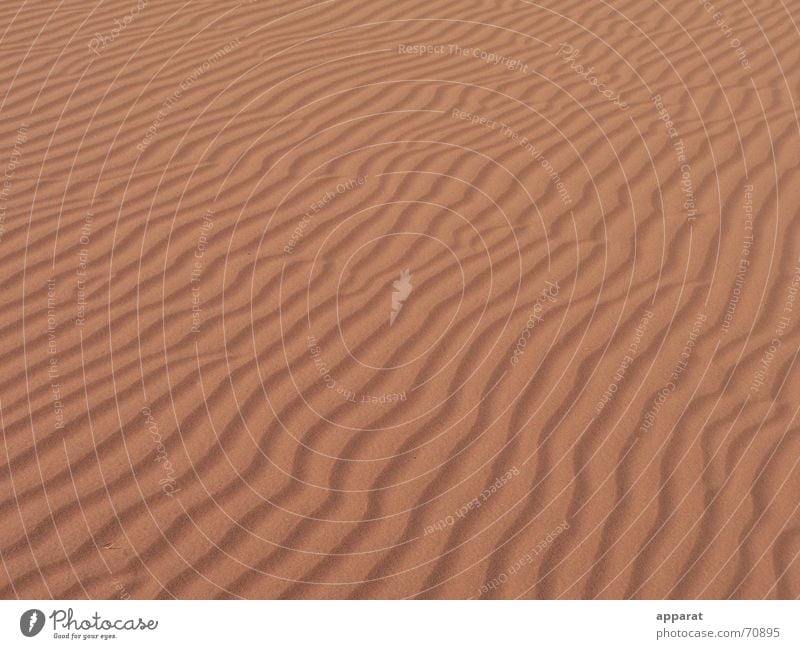 Wellen im Sand rot unfruchtbar trocken Dürre heiß Physik Glut glühend Namibia Einsamkeit Außenaufnahme Wüste leer Ferne Wärme Kalahari Sahara