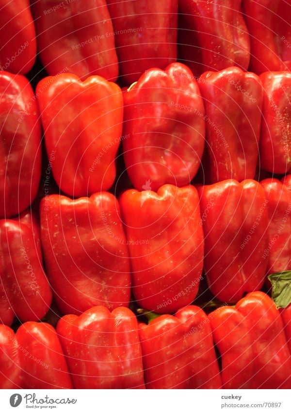 Blick in den Kühlschrank Paprika rot 19 glänzend Vegetarische Ernährung aufgeschichtet beuge paprikaberg Reihe Gemüse Stapel