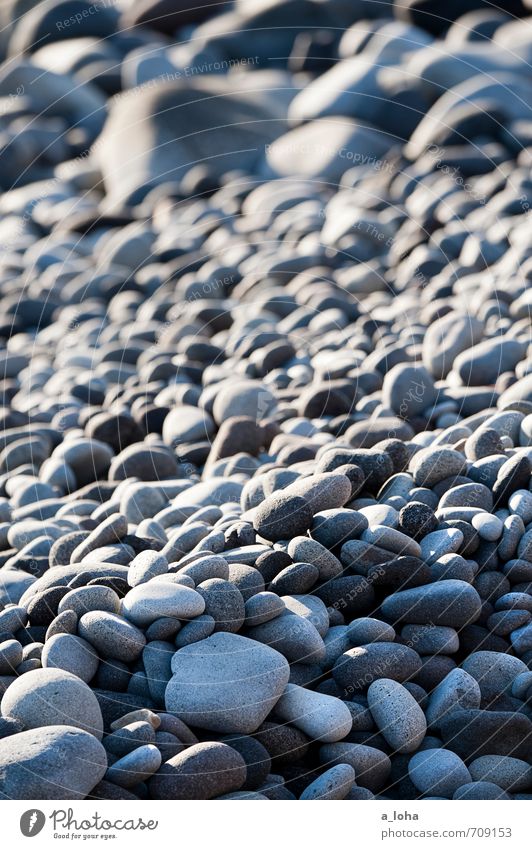 Steine. Strand. Natur Landschaft Urelemente Küste grau Stress einzigartig Ordnung stagnierend Zusammenhalt Neuseeland Nordinsel Cape Egmont Farbfoto