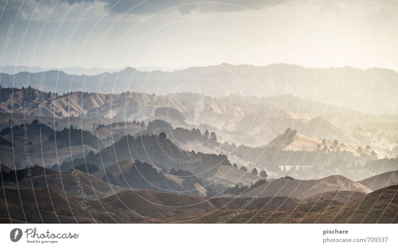 Landschaft Natur Himmel Horizont Hügel ästhetisch eckig exotisch Abenteuer Ferien & Urlaub & Reisen Neuseeland Farbfoto Außenaufnahme Dämmerung Lichterscheinung