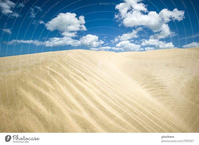 Sandig Landschaft Himmel Wolken Schönes Wetter Wüste trist trocken Abenteuer Neuseeland Düne Farbfoto Außenaufnahme Menschenleer Tag Sonnenlicht