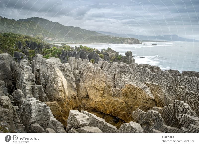 Pfannkuchen Natur Landschaft schlechtes Wetter Felsen Küste außergewöhnlich exotisch Abenteuer Ferien & Urlaub & Reisen Pancake Rocks Neuseeland Farbfoto