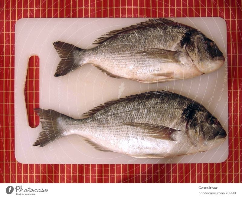Ausgenommen! lecker Dorade frisch Küche kochen & garen Ernährung Scheune Holzbrett augenommen entschuppt Fisch