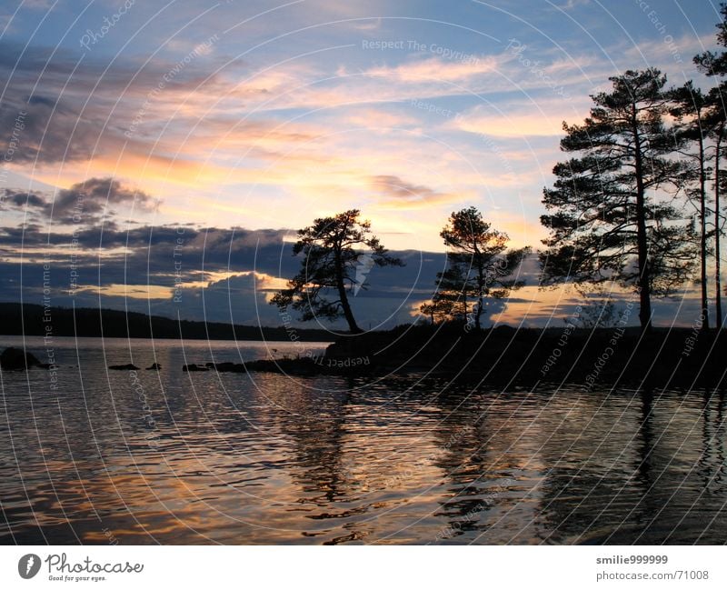Sonnenuntergang in Schweden See Baum Wolken Romantik Wasser paddeltour