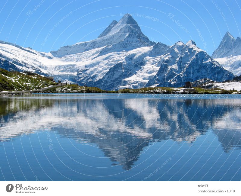 Schreckhorn weiß See Reflexion & Spiegelung 2 Wiese Panorama (Aussicht) Berge u. Gebirge Spitze Schnee Himmel blau Wasser Natur Alpen Horn Idylle doppel