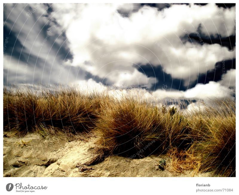 Griechenlands Weiten Küste Wolken Gras Grasbüschel gelb braun Europa Ferien & Urlaub & Reisen bearbeitet Außenaufnahme Himmel blau Sand Landschaft