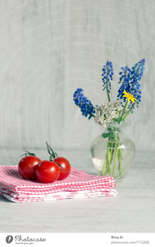 Still mit Tomaten Gemüse Ernährung Vegetarische Ernährung Frühling Blume Gesundheit hell lecker rot Stillleben Handtuch Serviette Vase Frühlingsblume kariert