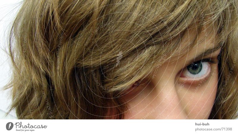 beobachtung Haare & Frisuren Lücke Missverständnis Neigung Auge Detailaufnahme Pony augenbraun Nase Mensch Angst Misstrauen