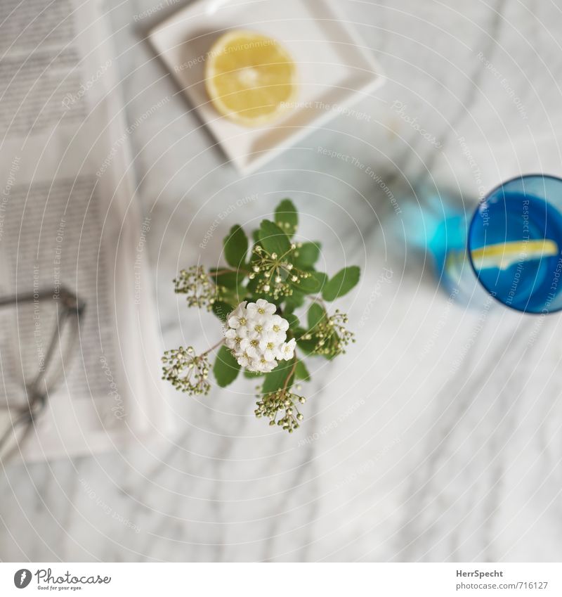 Am Marmortisch II Getränk Erfrischungsgetränk Trinkwasser Häusliches Leben Wohnung Tisch einfach grau weiß Zitronenscheibe Glas Wasserglas Zeitung Brille