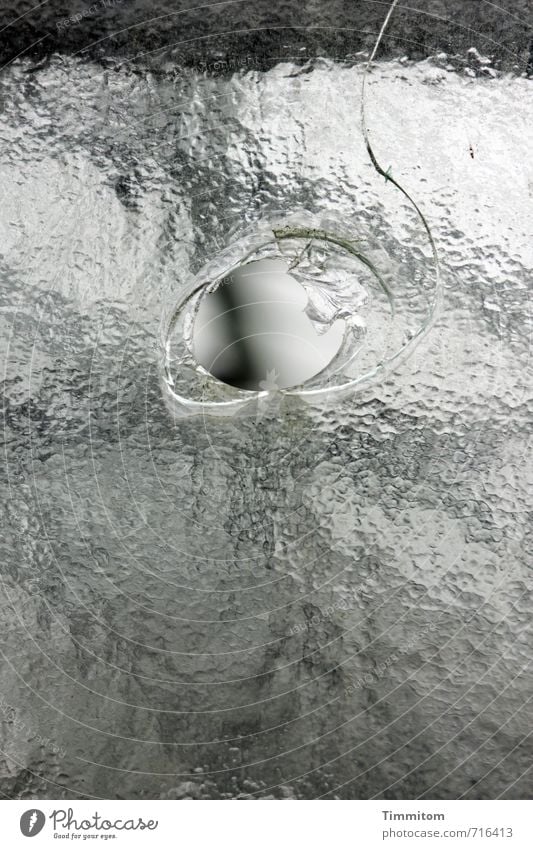 AST 7 | Ein Loch machen... Gewächshaus Glas Blick bedrohlich kalt kuschlig grau Gefühle Neugier Riss Strukturen & Formen Fensterscheibe Schwarzweißfoto Farbfoto