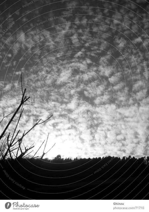 evening sky harmonisch schwarz weiß Himmel Fröhlichkeit Wolken leicht Unbekümmertheit Herbst harmony Schwarzweißfoto black white beautiful frei Abend