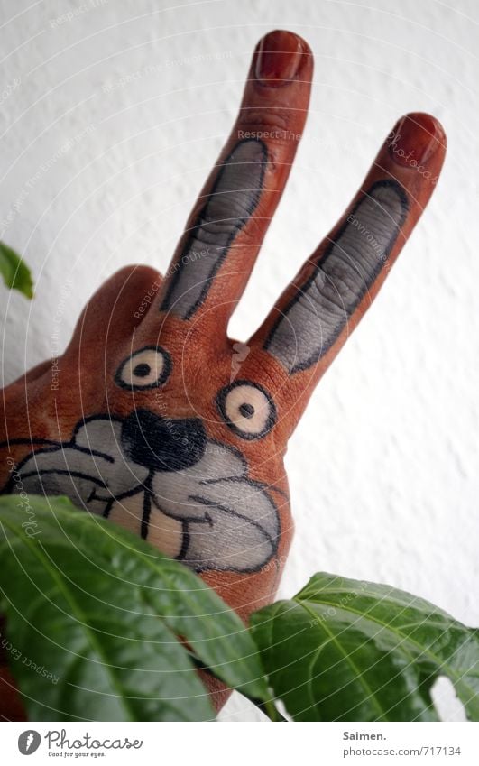 Guck Guck Pflanze Grünpflanze Tier 1 Blick lustig Hase & Kaninchen schön gemalt bemalt Comic Comicfigur Hasenkopf Hasenohren Kreativität niedlich Farbfoto