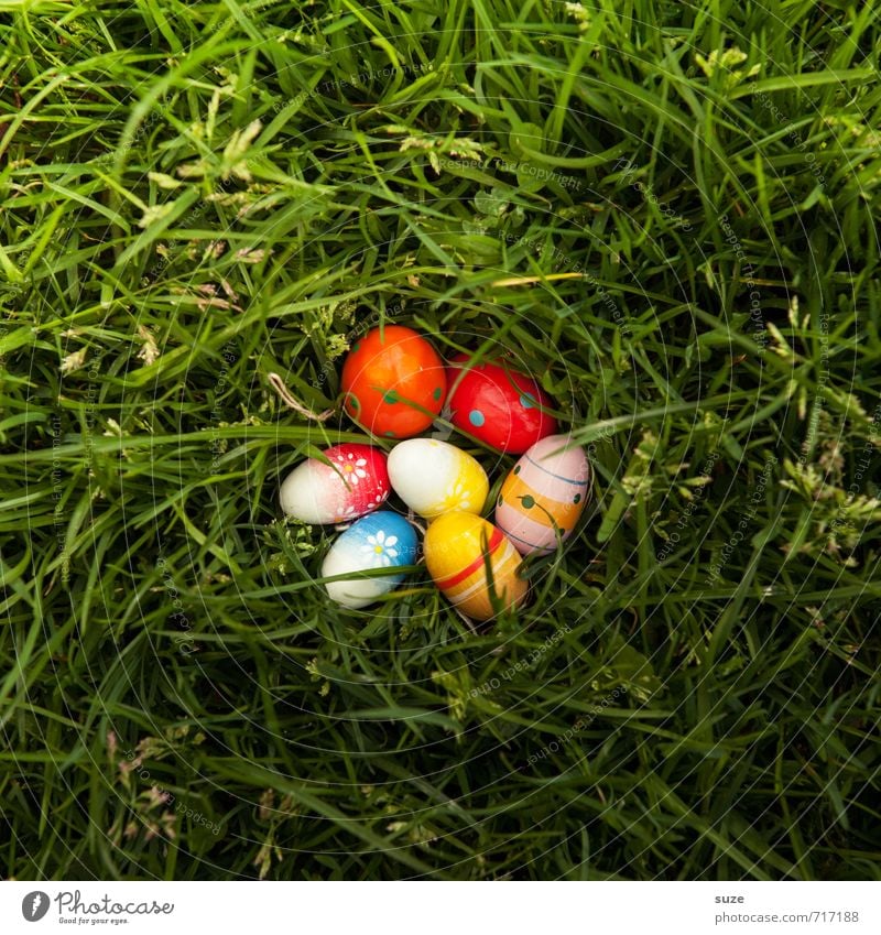 Bunter Eiersalat Lifestyle Freizeit & Hobby Spielen Garten Dekoration & Verzierung Feste & Feiern Ostern Kindheit Frühling Gras Wiese entdecken Fröhlichkeit