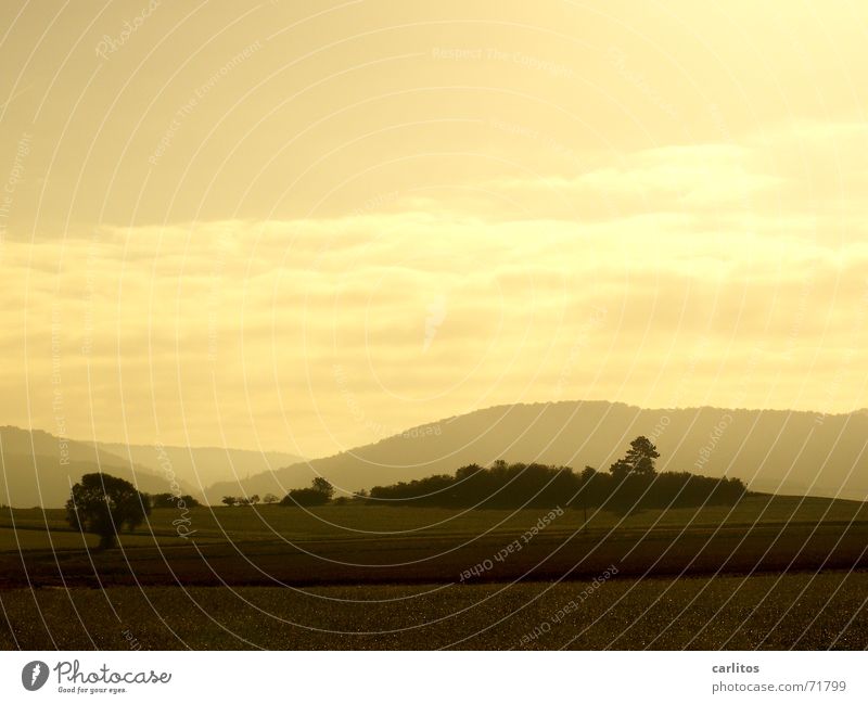 morgen Grauen Morgen Sonnenaufgang Bodennebel Gegenlicht Toskana Panorama (Aussicht) ruhig Zufriedenheit Morgendämmerung toskana für arme Glück groß