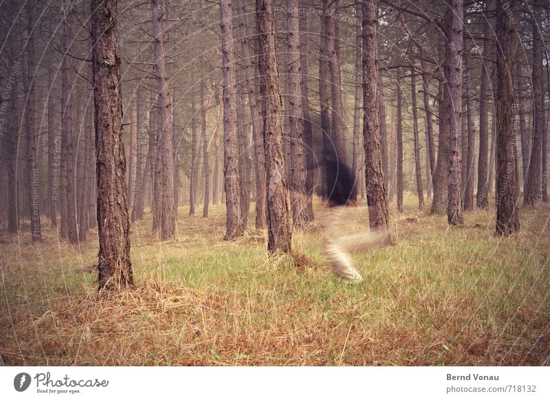 run forest !!! Mensch maskulin Mann Erwachsene 1 30-45 Jahre 45-60 Jahre rennen Flucht Unschärfe geheimnisvoll Baumstamm Kiefer Gras Nebel Richtung quer