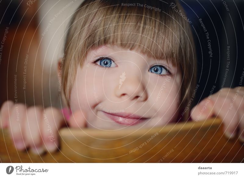 versteckend Freude Gesicht Leben harmonisch Wohlgefühl Erholung Freizeit & Hobby Spielen Stuhl Raum feminin Mädchen Junge Frau Jugendliche 3-8 Jahre Kind