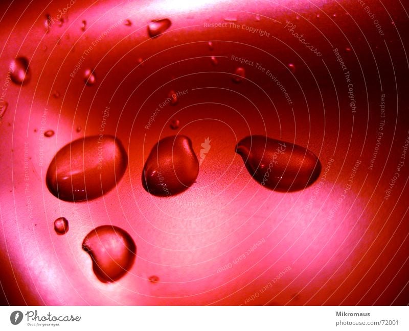 rot Rouge Wassertropfen Tropfen Trinkwasser Regen Tau Hintergrundbild Waschbecken Farbe nass Licht Schatten Detailaufnahme glänzend Küche red wallpaper