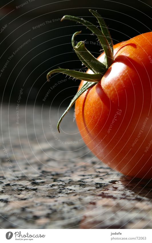 Tomate Stillleben rot grün schwarz grau Tisch Küche Granit Licht Sommer Gemüse tomato Biologische Landwirtschaft Bioprodukte demeter biologisch-dynamisch Stein