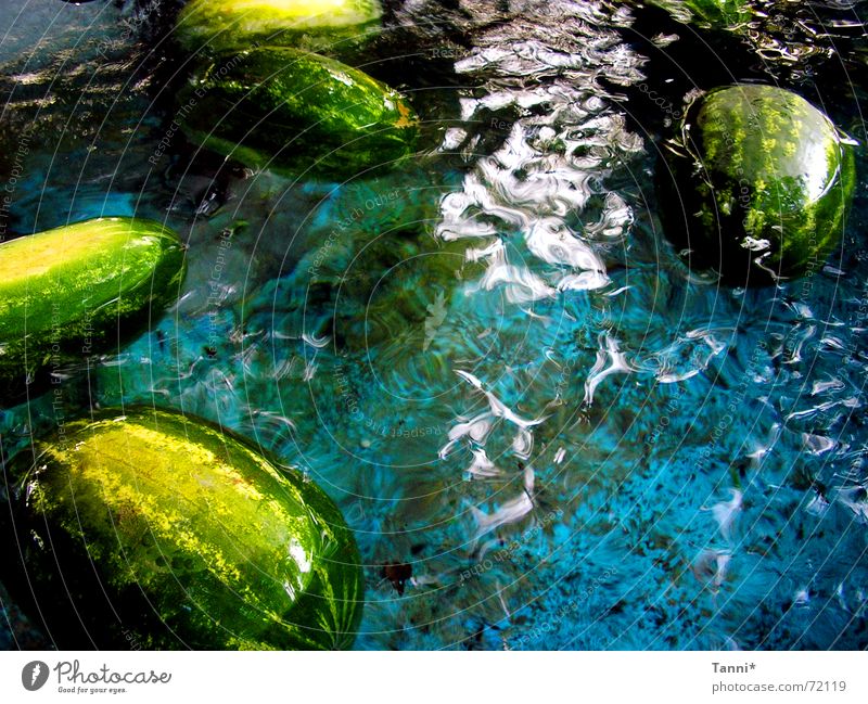wassermelonen Wassermelone grün spritzig frisch watermelon blau blu fruit Appetit & Hunger