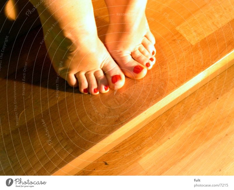füsse Zehen Frau Holz aufeinander Fuß Beine Mensch Haut Treppe sitzen zeigen Schatten gelegt Fußknöchel Hacke Barfuß