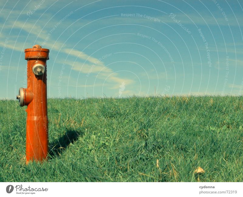 Wasserspender Hydrant rot Wiese Gras Sommer Kühlung Statue außergewöhnlich Gesellschaft (Soziologie) Verdrängung Dinge Himmel Säule Natur bizzar Kontrast