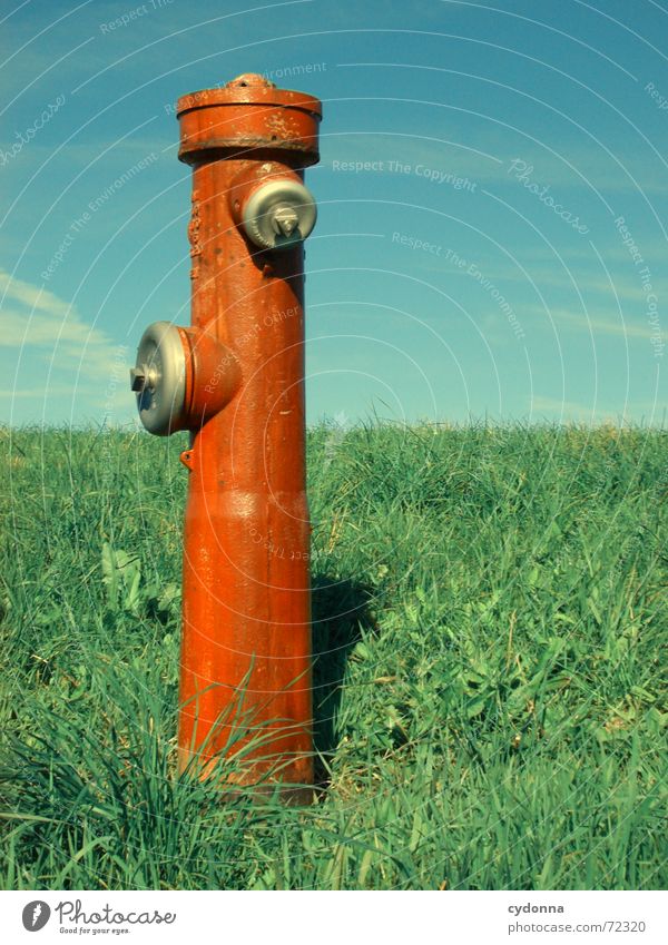 Wasserspender I Hydrant rot Wiese Gras Sommer Kühlung Statue außergewöhnlich Gesellschaft (Soziologie) Verdrängung Dinge Himmel Säule Natur bizzar Kontrast