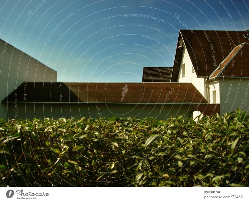 Hinter der Hecke // 1 Haus Dorf Wohnsiedlung Dach Fenster ruhig anonym komplex Bauweise Architektur Häusliches Leben Himmel Garten Strukturen & Formen